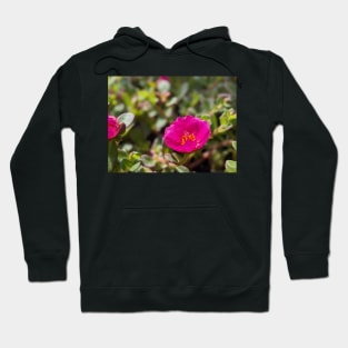 Pink Moss Rose 2 Hoodie